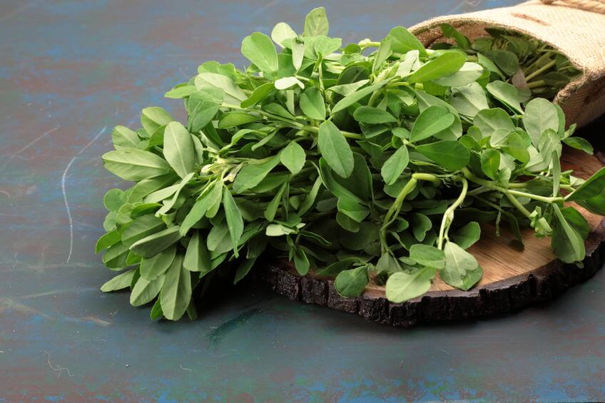 شنبلیله برای مردان: افزایش تستوسترون و بهبود قوای جنسی؟