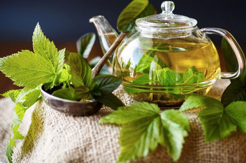 چای برگ مو: کشف خواص و فواید شگفت‌انگیز آن برای سلامتی