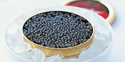 بیش از ۹۰ درصد خاویار تولیدی کشور صادر می‌شود