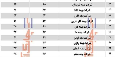 13 شرکت بیمه‌ای شعب خود را در سال گذشته افزایش دادند
