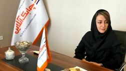 نیاز جدی بیمه نامه های زندگی به استفاده از  ابزارهای مالی جدید