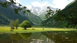«مازندران»؛ قطب گردشگری داخلی ایران