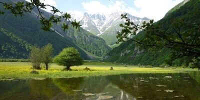 «مازندران»؛ قطب گردشگری داخلی ایران