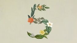 رونمایی از جدیدترین هوش مصنوعی «آنتروپیک»
