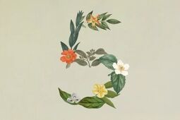 رونمایی از جدیدترین هوش مصنوعی «آنتروپیک»
