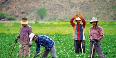 چه کسانی  در صندوق بیمه اجتماعی روستاییان بیمه می شوند؟
