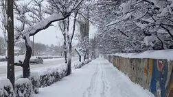 ثبت رکورد کم‌سابقه سرما در تهران طی ۵۰ سال اخیر 