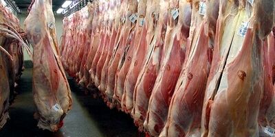 قیمت‌های گوشت گرم گوسفندی و گوساله  در خرده‌فروشی‌ها اعلام شد