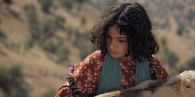 «میان صخره‌ها» از ۱۸ مردادماه روی پرده می‌رود
