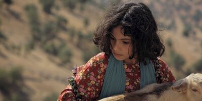 «میان صخره‌ها» از ۱۸ مردادماه روی پرده می‌رود