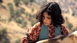 «میان صخره‌ها» از ۱۸ مردادماه روی پرده می‌رود