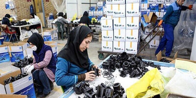 ۲۰ درصد بیمه شدگان تامین اجتماعی زن هستند