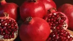 اکثر باغداران  باغات خود را بیمه نمی‌کنند