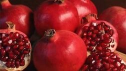 اکثر باغداران  باغات خود را بیمه نمی‌کنند