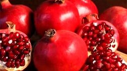 اکثر باغداران  باغات خود را بیمه نمی‌کنند