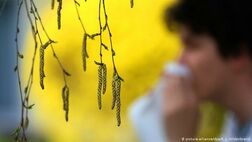 تبی که با تغییر فصل اوج می‌گیرد
