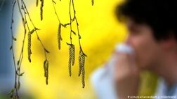 تبی که با تغییر فصل اوج می‌گیرد
