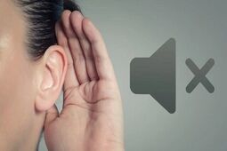 امکان پیشگیری از ۶۰ درصد کم‌شنوایی‌ها / از سکته گوش چه می‌دانیم؟
