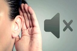 امکان پیشگیری از ۶۰ درصد کم‌شنوایی‌ها / از سکته گوش چه می‌دانیم؟
