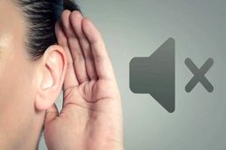 امکان پیشگیری از ۶۰ درصد کم‌شنوایی‌ها / از سکته گوش چه می‌دانیم؟
