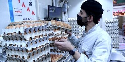 مرغ و تخم مرغ تولیدی نیاز ۱۰ میلیون جمعیت پیرامونی کشور را  پاسخ می دهد