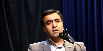 دارایی های ملموس منابع طبیعی کشور بیمه نامه ندارند / صدور بیمه نامه برای گونه های جانوری  حیات  وحش  فراموش شد
