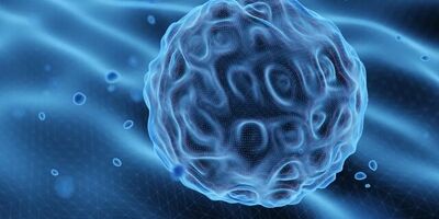 معمای چگونگی کنترل استرس کشف شد
