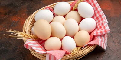 وفور مرغ و تخم‌مرغ در بازار تهران / عرضه برخی کالاها پایین‌تر از نرخ مصوب