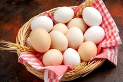 صادرات تخم مرغ و ۲۰ محصول کشاورزی دیگر آزاد شد 