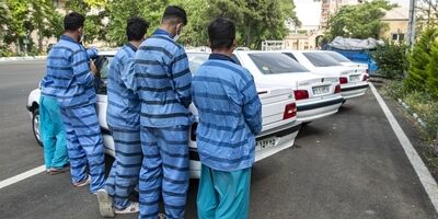  ۲۵۸ سارق حرفه‌ای دستگیر شدند
