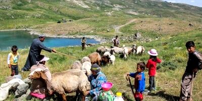 کرمان بیشترین و رودبار جنوب کمترین کارگزاری صندوق بیمه اجتماعی را دارند 