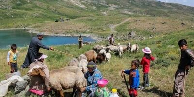 کرمان بیشترین و رودبار جنوب کمترین کارگزاری صندوق بیمه اجتماعی را دارند 