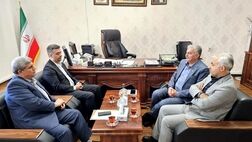 نقش کلیدی بانک مسکن در توسعه بخش مسکن با پرداخت بیش از ۷۰ درصدی تسهیلات نهضت ملی
