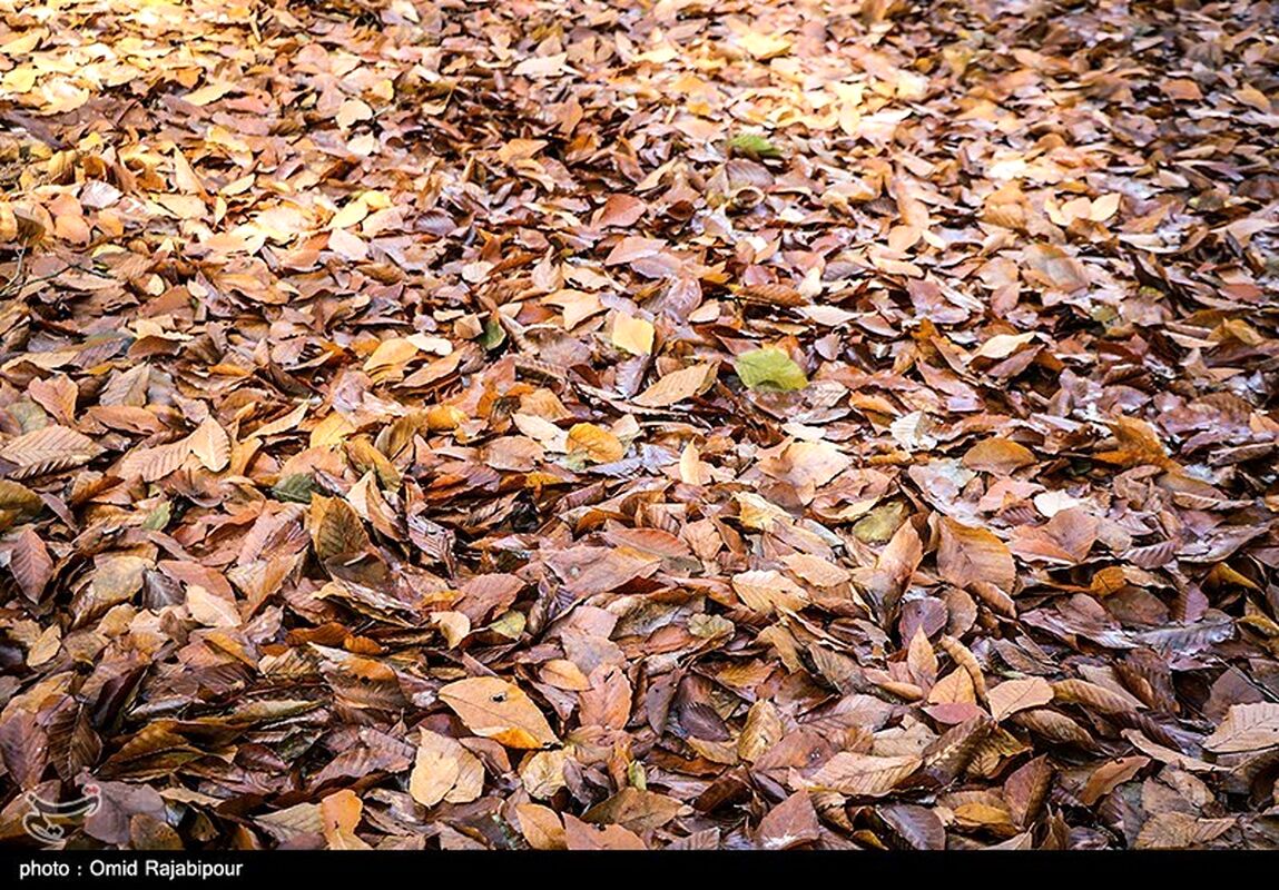image7