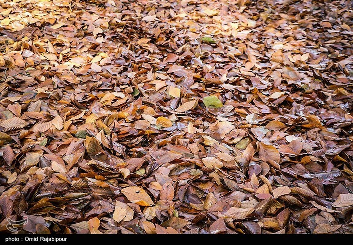image7