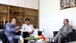 600 هزار نفر از جمعیت روستایی کردستان تحت پوشش بیمه سلامت 
