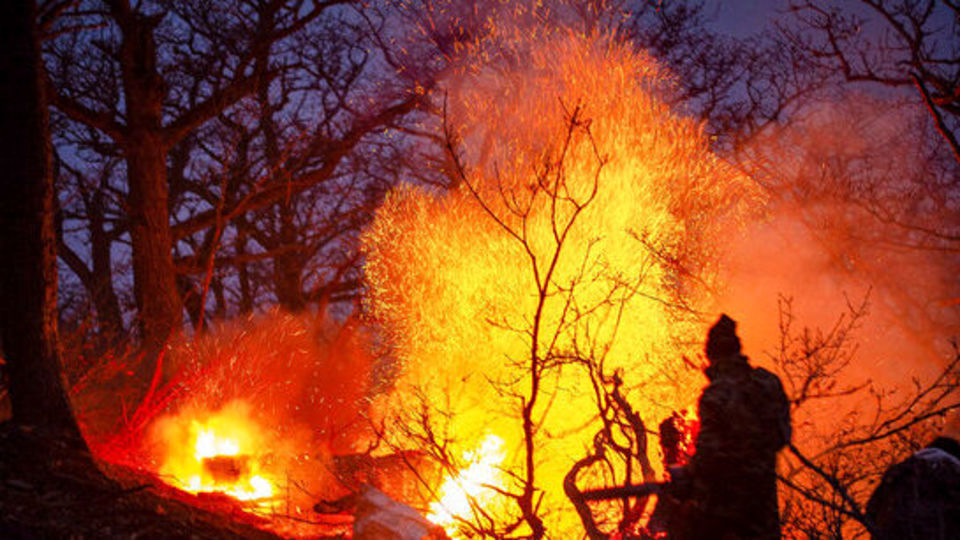 ۸۰ درصد آتش‌سوزی جنگل‌های هیرکانی مهار شد