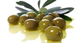 زیتون؛ دشمن سکته قلبی، فشار خون و کلسترول بالا