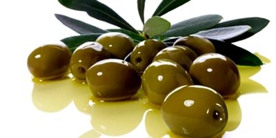 زیتون؛ دشمن سکته قلبی، فشار خون و کلسترول بالا