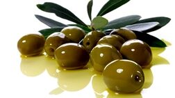 زیتون؛ دشمن سکته قلبی، فشار خون و کلسترول بالا