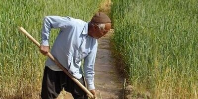 ۱۳۰۰ نفر در شیروان جذب بیمه روستایی عشایری می‌شوند