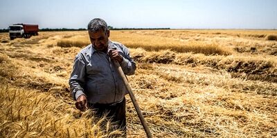بیمه اجتماعی کشاورزان مانع مهاجرت آنها از روستا می شود
