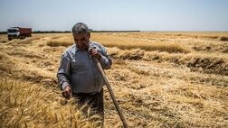 بیمه اجتماعی کشاورزان مانع مهاجرت آنها از روستا می شود
