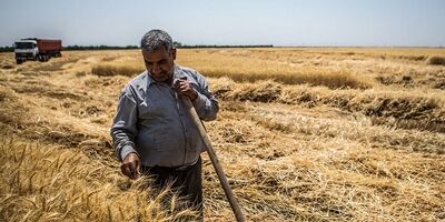 بیمه اجتماعی کشاورزان مانع مهاجرت آنها از روستا می شود

