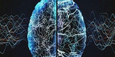 راهکارهای کاهش خطر ابتلا به آلزایمر کدامند؟