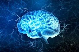یک رژیم غذایی خاص؛ کلید داشتن مغزی سالم و فعال
