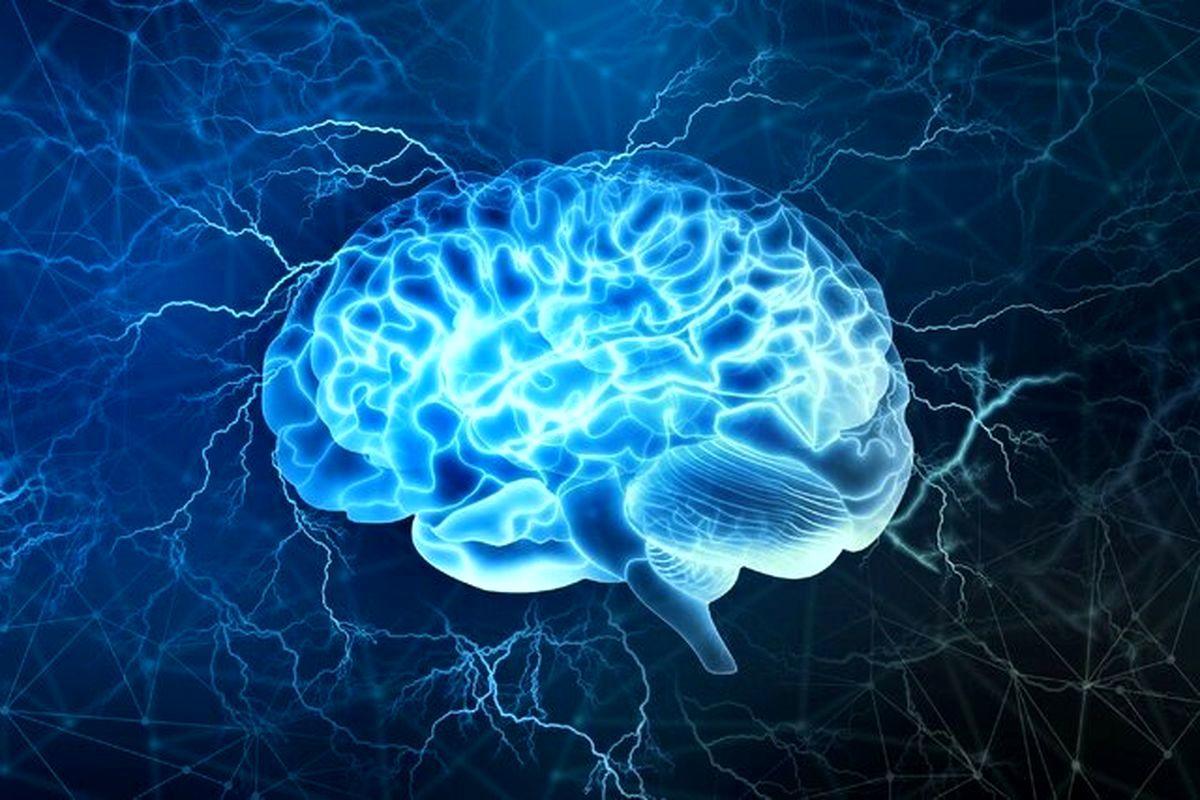 یک رژیم غذایی خاص؛ کلید داشتن مغزی سالم و فعال
