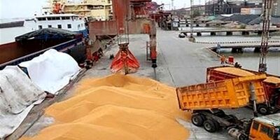 تصمیم جدید روسیه؛ دریافت ارز صادرات غلات فقط با «روبل»