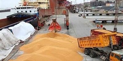 تصمیم جدید روسیه؛ دریافت ارز صادرات غلات فقط با «روبل»