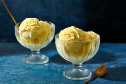 طرز تهیه بستنی خونگی بدون ثعلب؛ سالم و ارزون
